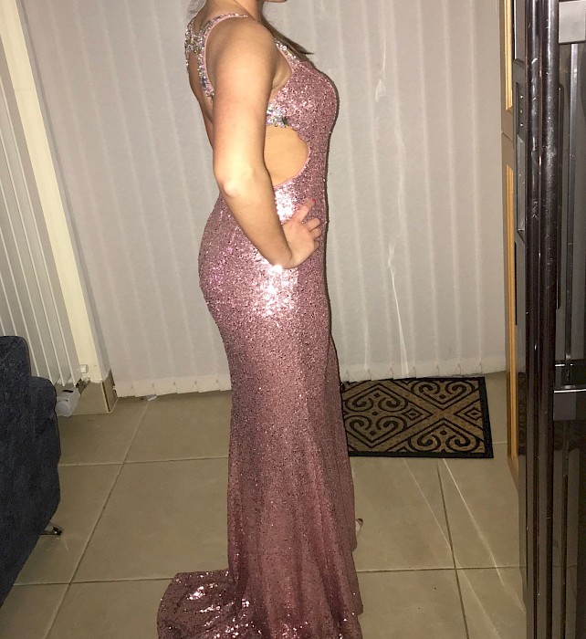 Pink and silver Debs dress