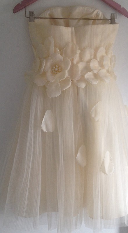 Vintage 50s style dress
