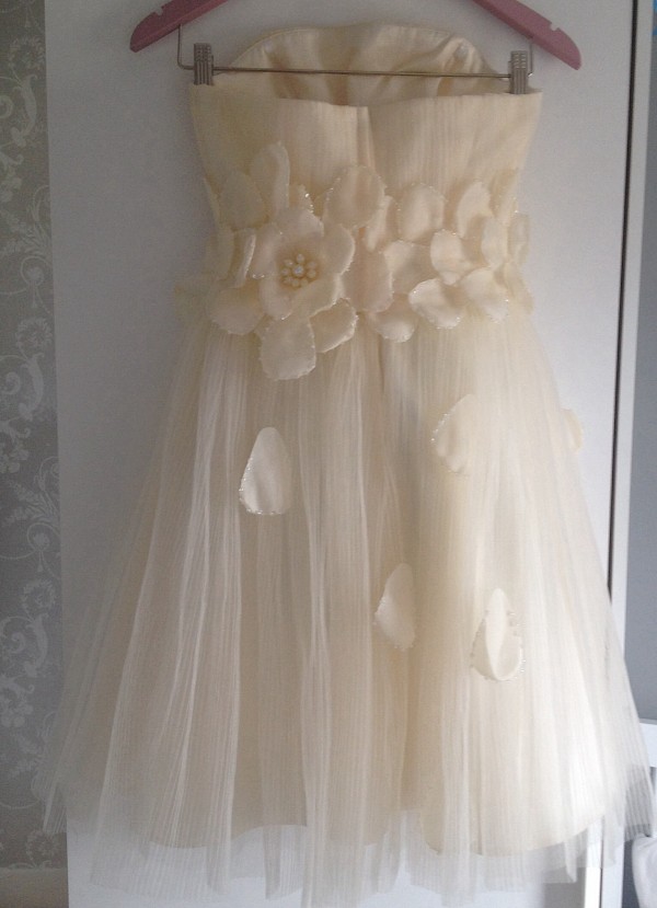 Vintage 50s style dress